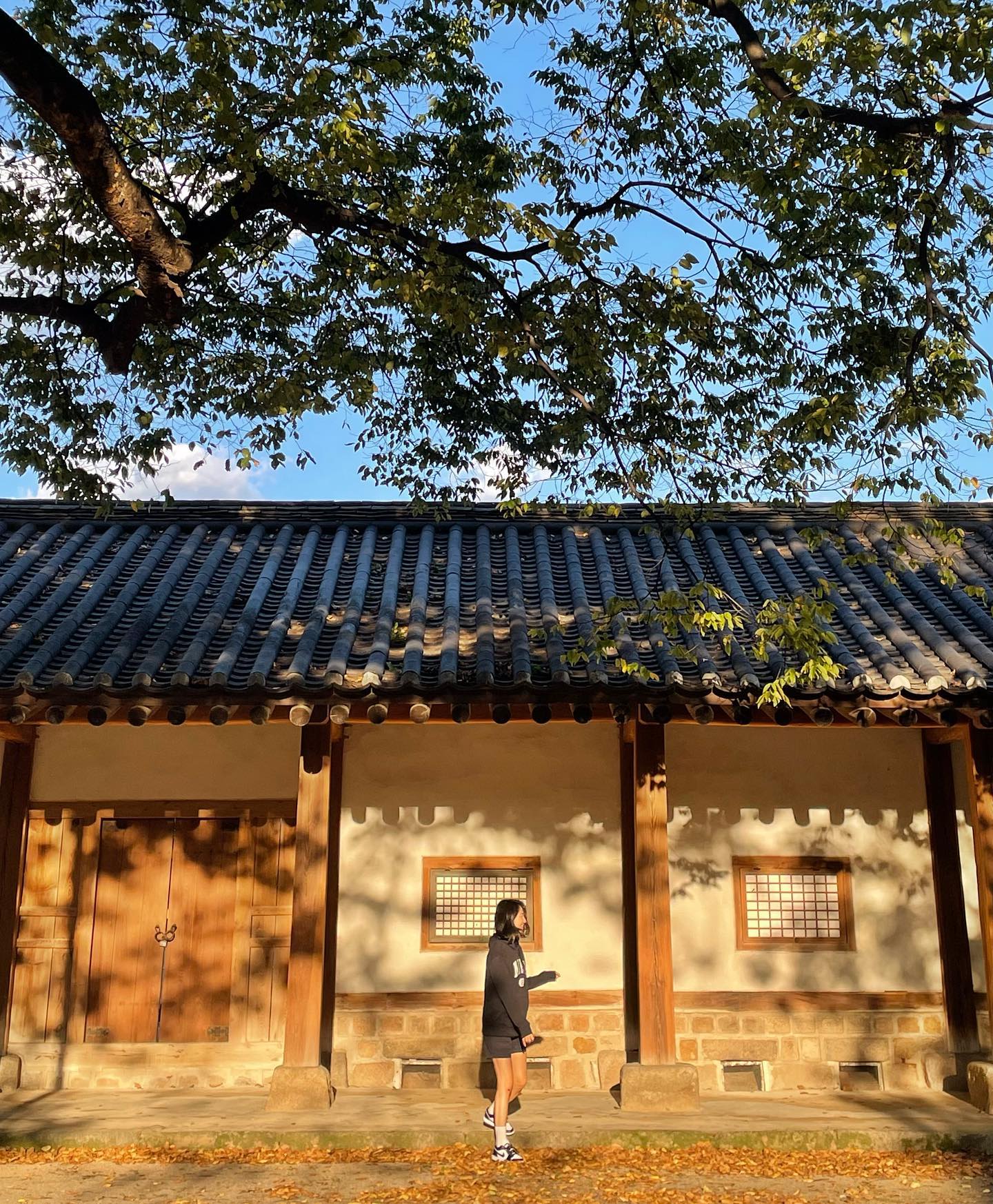기분좋은 10월의 시작 🍃💛