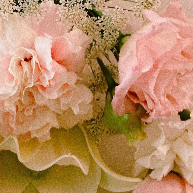 💗챠니💗 on Instagram: "#미백톤업크림 #광고 

임신하고 아이를 위해 아무것도 안바르다가 이러면 안되겠다싶어 크림을 바르기 시작했어요! 평소 화장을 두껍게 안하고 톤업 크림으로만 마무리 하는데요,

저는 그냥 톤업만 되는게 아니라 미백을 아주 중요시해서 꼭 미백 성분이 들어간 제품을 찾아요! 

요 제품은 임산부도 안심하고 사용할 수 있고 특히 씻어내지 않아도 된다는 점이 너무 좋은 것 같아요🤍

율무 성분으로 자극도 없고 향도 너무 좋아서 요즘 자주 손이 갑니다🙂

미백 효과를 내는 톤업 크림 필요한 임산부들 참고하세요오🙋🏻‍♀️ 

🏷️ thanks to @inward_official
#광고#인워드#inward#기미제거#기미잡티#기미잡티제거#기미크림#잡티크림#미백크림추천#미백화장품#화이트닝크림#톤업크림추천#색소침착크림#피부미백#물광크림#광채크림#얼굴하얘지는법#주근깨#쥐젖#검버섯#보습크림#율무크림"