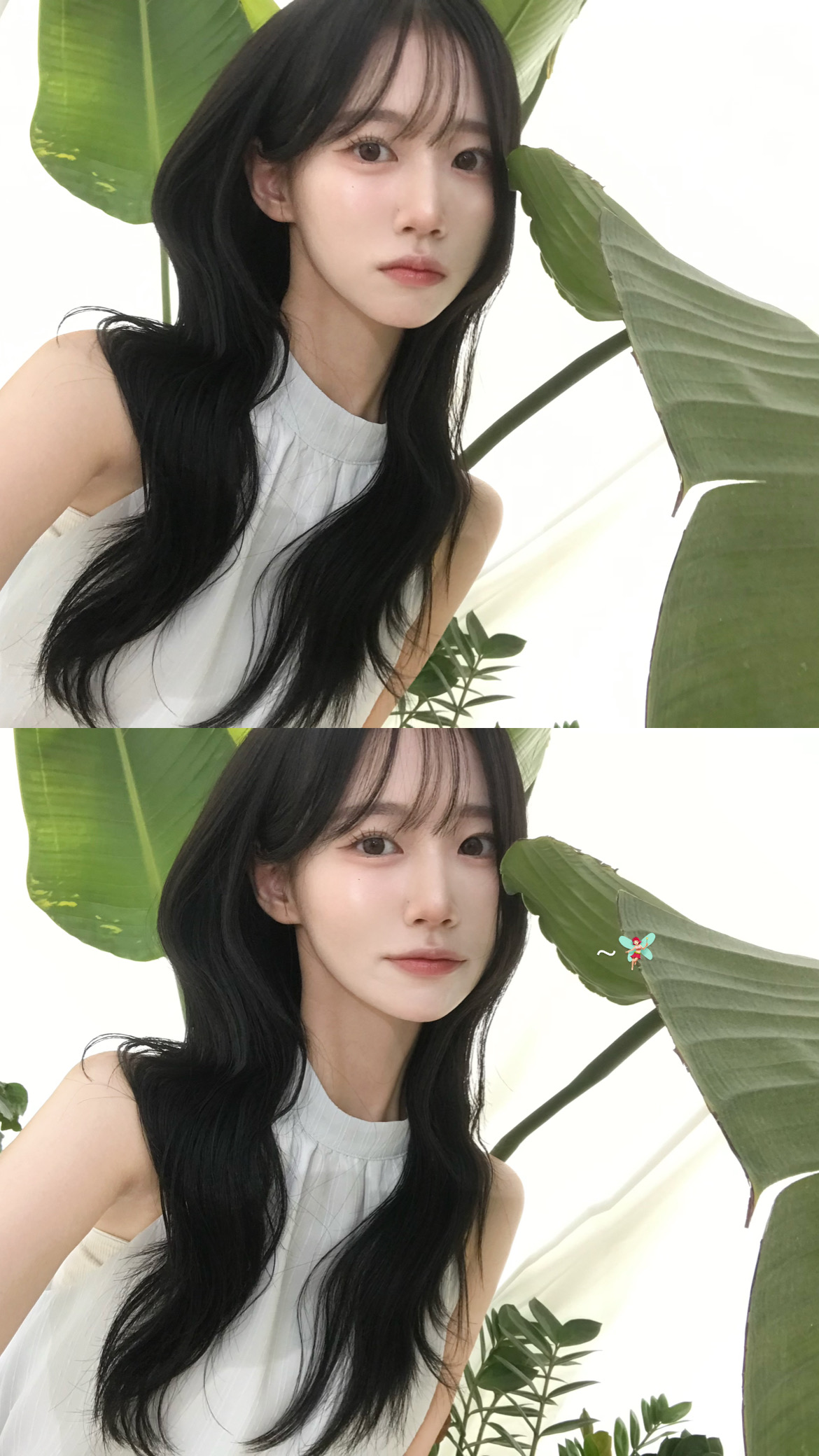 콘텐츠