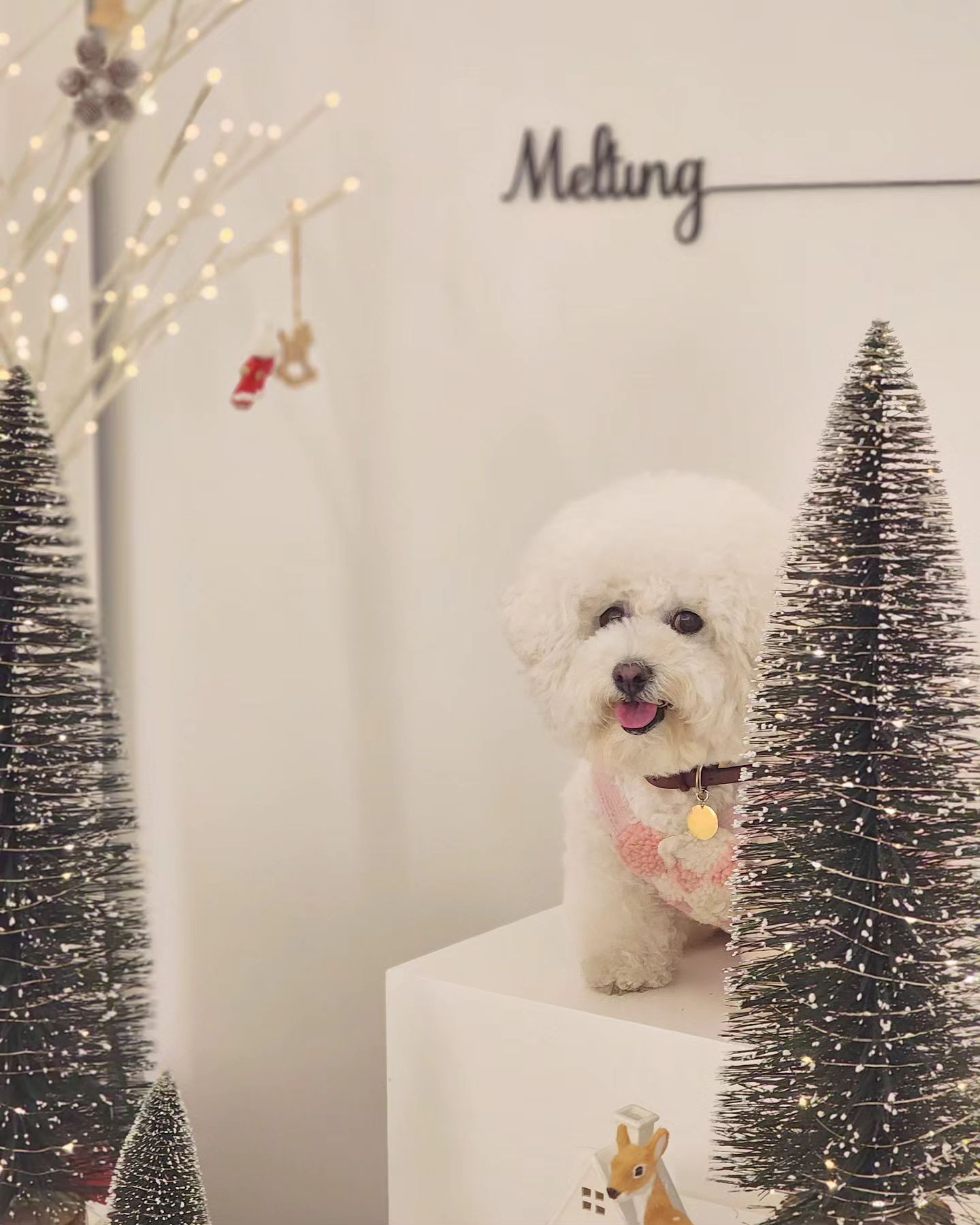 🎄🎄