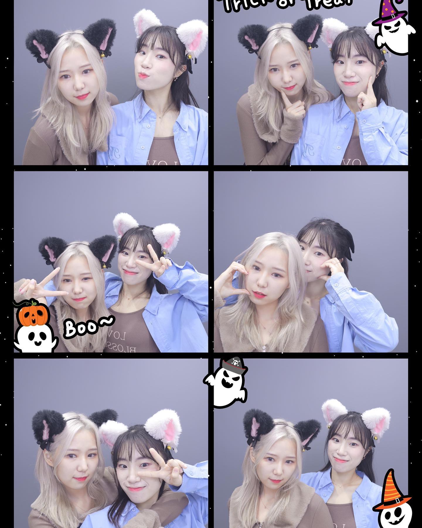얘랑도 벌써 5년..👀
#낙지야감자해 #서울숲 #그믐달셀프스튜디오