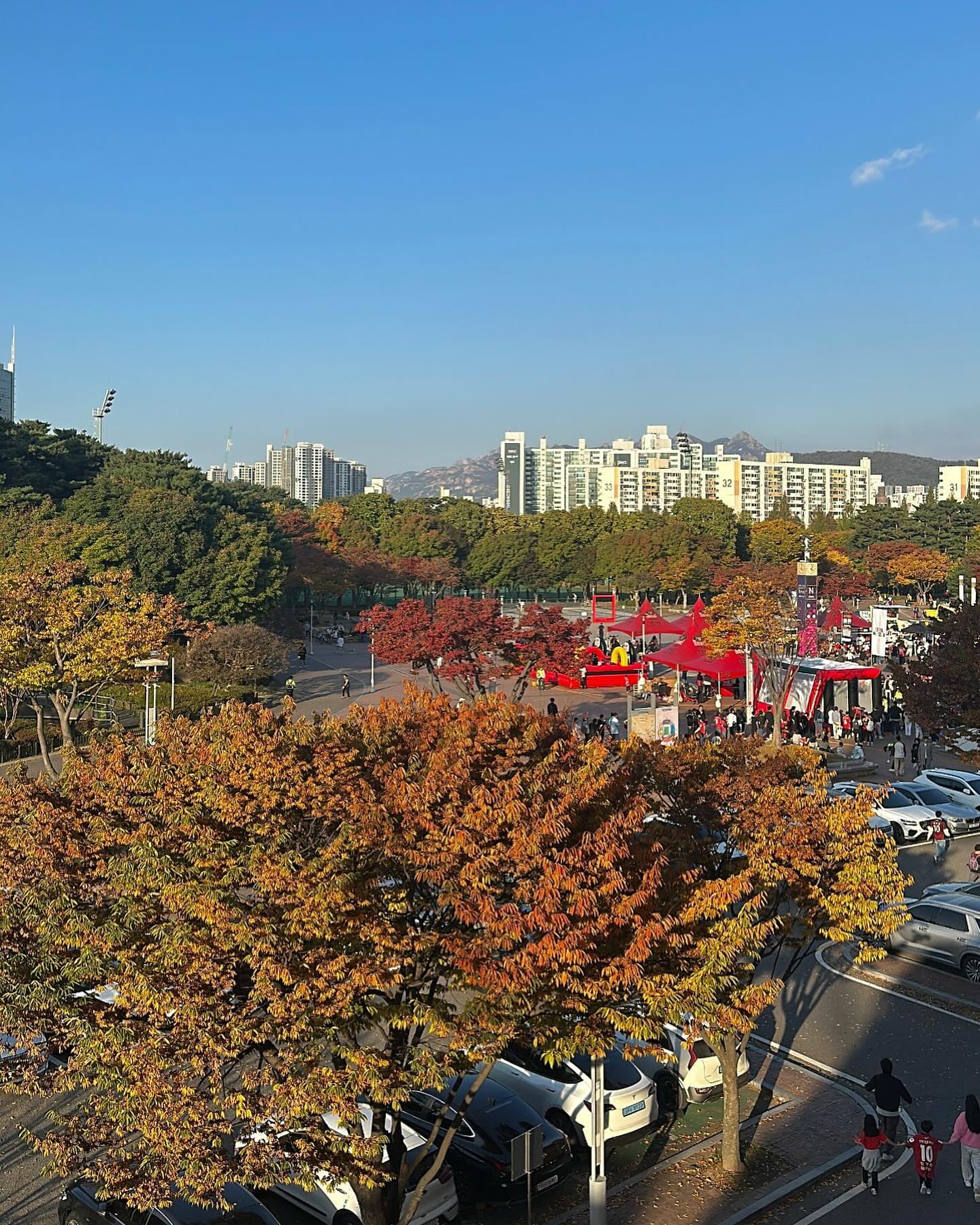 콘텐츠