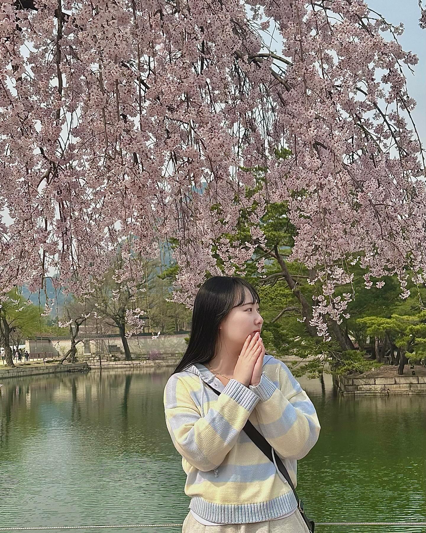 경복궁 갔는데 가슴이 아리고 눈물이 차올라서 고갤들어
아무래도 전생에 공주였나봐