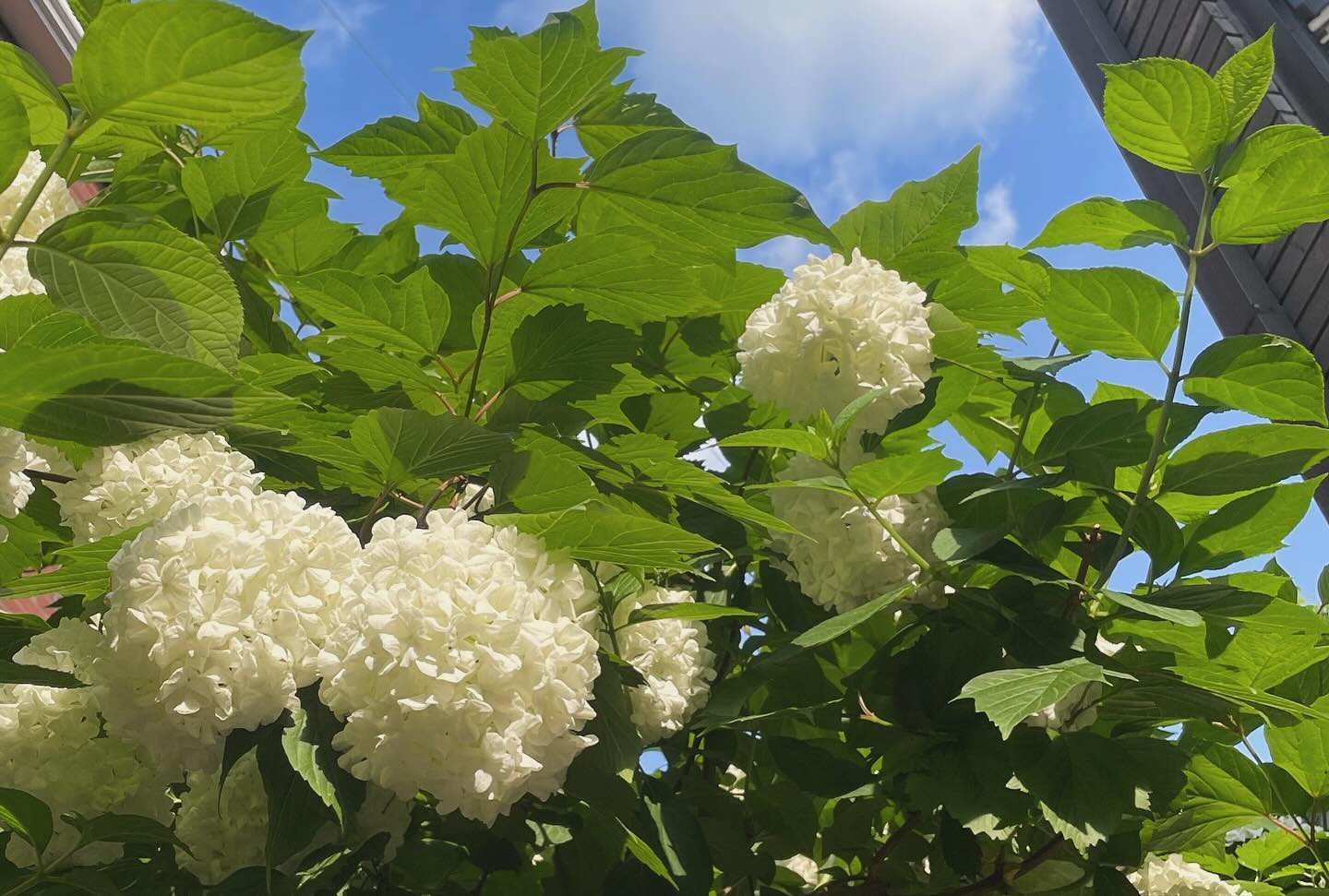 앞머리 파먹은 애랑 첫 평냉 성 공🍀