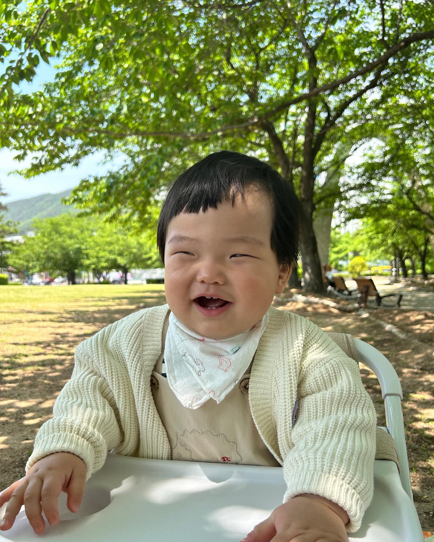 바람없이 따뜻한 날은 피크닉이 채고야🍃

추운 겨울이 되니 더 그리운 포근했던 5월🥹

#준우일기 #10개월아기 #남자아이 #baby #호랑이띠맘 #육아일기 #육아일상 #애묘육아 #육아스타그램 #아기스타그램 #20230430_0504 #밀린일기