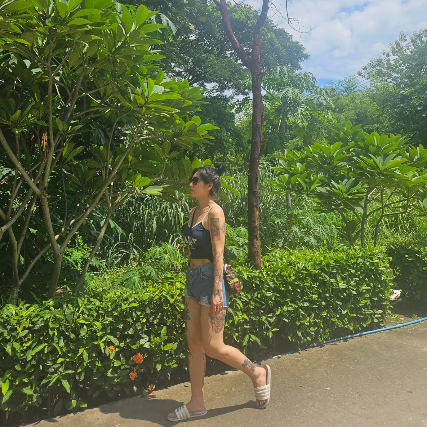 콘텐츠