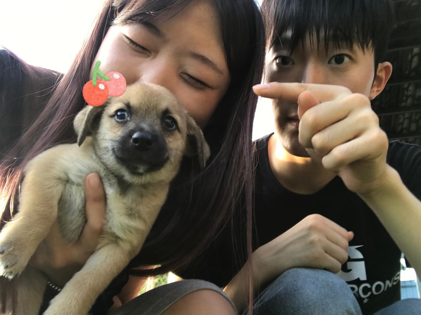 시고르자브종들과 🦴💗