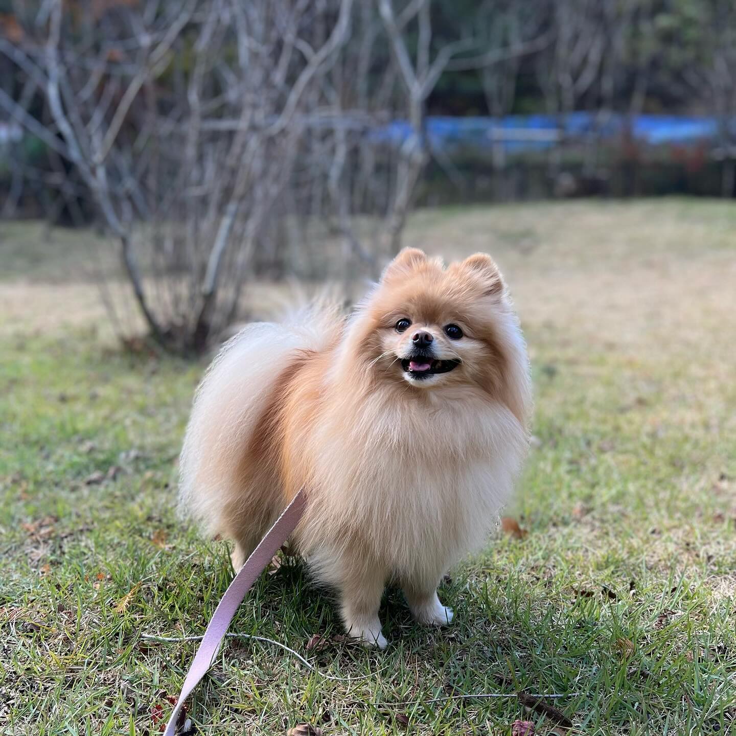얼굴은 순둥이지만 지랄맞은 성격...❤️
