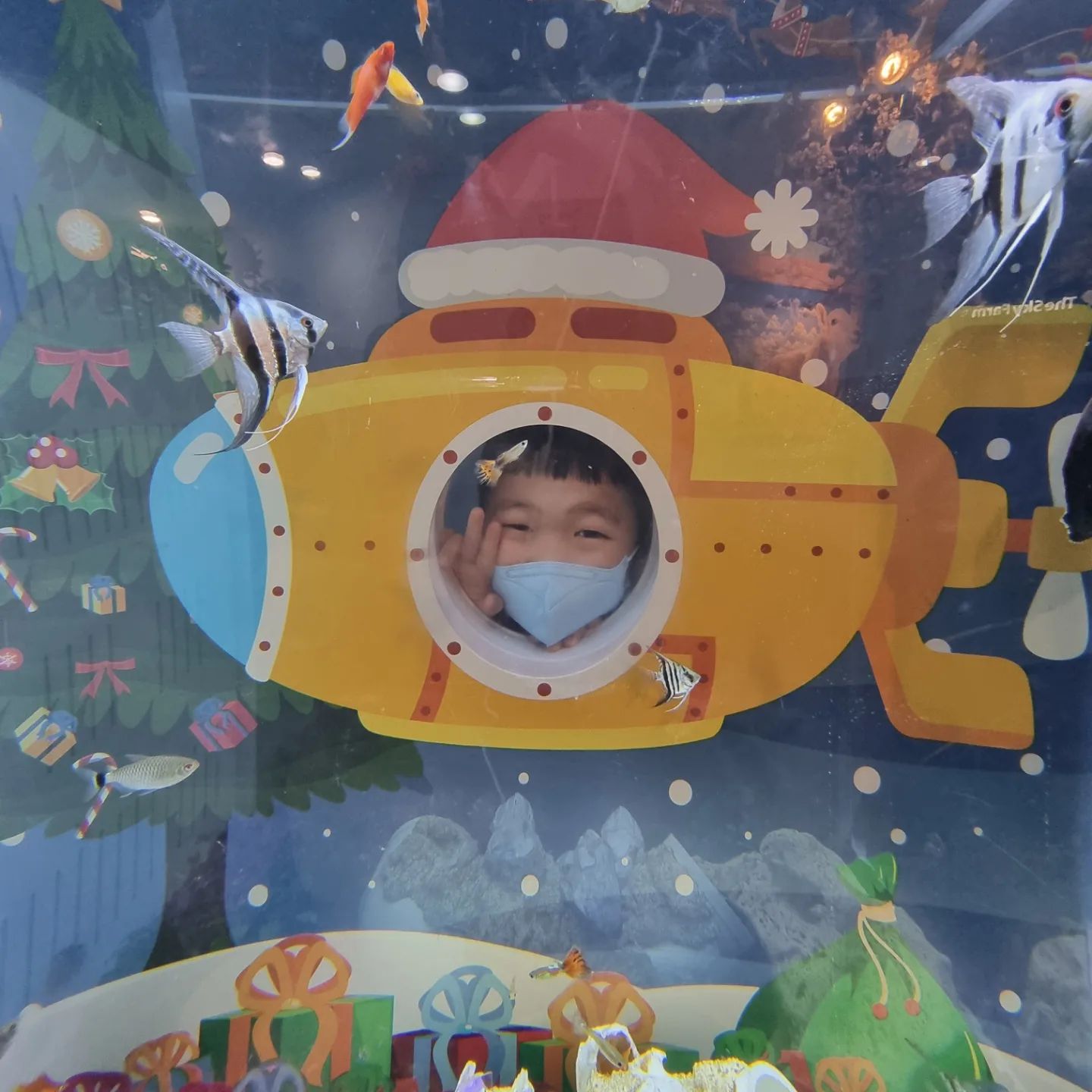 #방학알차게보내기
-
12/26~30일(5일)
1일차 아쿠아플라넷🐟
2일차 물감오감놀이(슬라임)
3일차 신비아파트 영화보기🍿
4일차 챔피언키즈카페🧑‍🤝‍🧑
5일차 집으로 친구초대🤭
-
우리 워녕이 하고싶은거 다했다!!!
이제 열심히 어린이집가자🫠
.
.
.
#사랑해💏💕 #우리두찌
#너하고싶은거다해! #엄마랑데이트
#일주일꿀잼