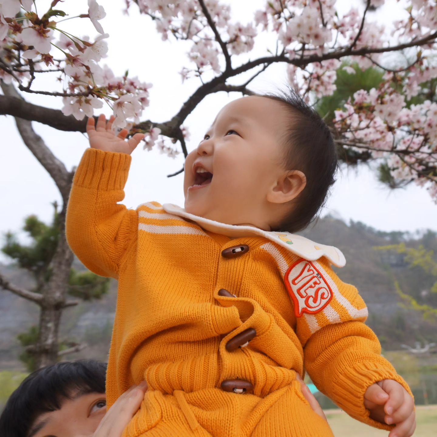 오케! 잡았다! 🌸🌸

아래에서 힘든 아기 아부지ㅋㅋㅋ

😉🌸

사진이 밥먹여주지! 

#봄 #아기스타그램