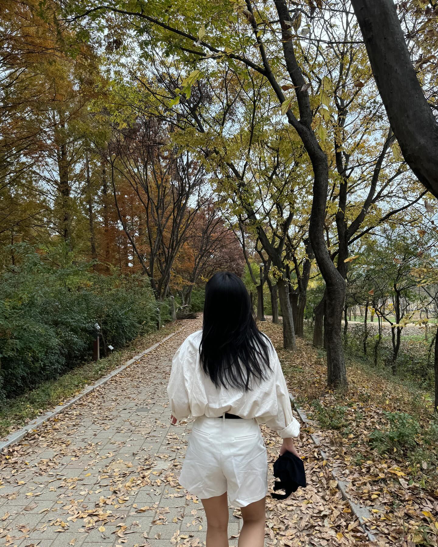 🍁