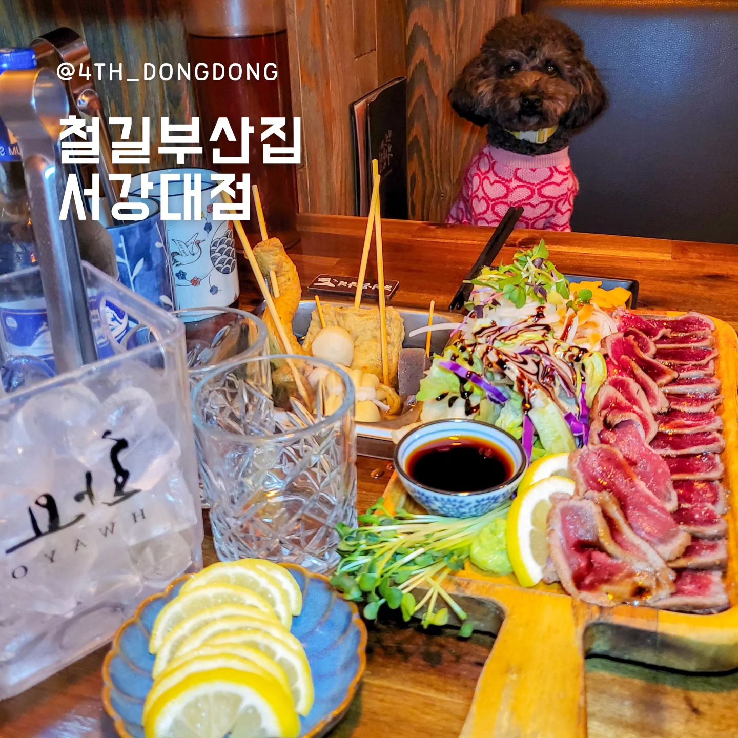 #협찬 #철길부산집서강대점 busan_jib

제가 철길부산집은 좀 다녀봤는데요(?)
반려견과 함께 갈 수 있는 [철길부산집]은 처음이었어요 🤭
사랑하는 동동이와 함께할 수 있어서 더 행복하고 맛있었던 집!

🥄한줄평 : 솔직히 지금까지 철길부산집 한번도 안갔으면 반성해야함

🔸️맛, 양, 분위기, 가격 모두 만족하는 곳
저랑 엄마가 먹은 [어묵 2인 + 소고기 타다끼] 세트가 ONLY 35,000원
진짜 혜자 같은 가격과 구성, 맛, 분위기 모두 만족해서 그런지
동동이 엄마는 철길부산집을 자주 간답니다 😚
1차로 가서 세트 메뉴로 배터지게 먹을 수 있고,
2차로 가서 가볍게(?) 전통주 한잔에 어묵만 먹어도 딱이랍니다 🍢

🔸️따끈따끈하게 먹을 수 있는 어묵
철길부산집 다녀온 사람들은 뭐 다 알겠지만요 🤭
자리마다 어묵탕 기계가 설치되어 있어 먹는 끝까지 따끈따끈해요.

🔸️나머지 안주들까지 맛있는 곳
여기는 소고기 타다끼 전문점인가요? 먹태 전문점인가요?
그만큼 시켜 먹은 모든 안주들이 맛!있!어!요!

철길부산집 다녀온 사람들은 알 거예요.
분위기, 맛, 양, 가격 얼마나 좋은지 🤤
❤️그중에서 서강대점을 꼬옥 가야하는 이유❤️ with 울 댕댕이

🍽철길부산집 서강대점
📍서울시 마포두 광성로6길 34
⏰️매일 17:00~01:00(금~토는 02:00까지)
📝반려견 동반 가능, 주차 불가, 화장실 외부에 있지만 깨끗

#대흥역맛집 #대흥역이자카야 #대흥역술집 #서강대맛집 #서강대학교맛집 #서강대술집 #마포술집 #마포이자카야 #마포오뎅바 #경의선숲길술집 #경의선숲길맛집 #경의선숲길애견동반 #대흥역애견동반 #철길부산집 #스토리앤체험단 #스토리앤미디어 #서강대애견동반 #신수동맛집 #신수동술집 #대흥동맛집추천
