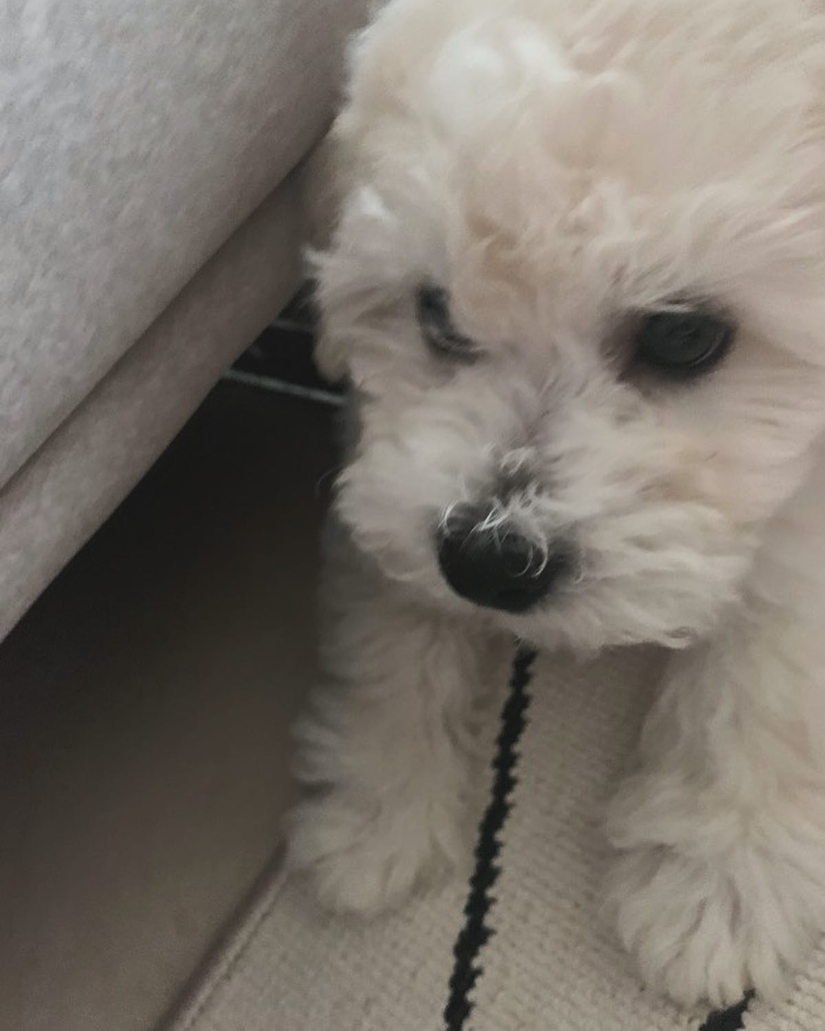 언제나 흔들리는