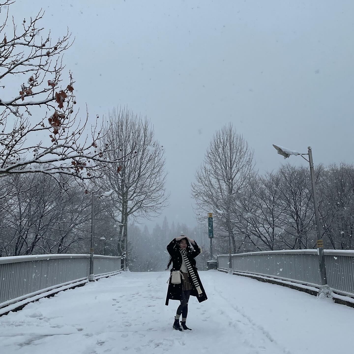 눈와서 생각난 12월사진☃️
🌸봄은 언제올까요?