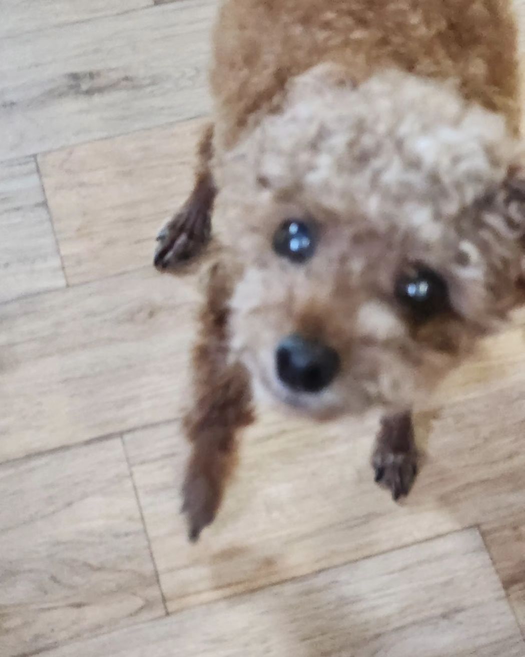 눈치뽀글