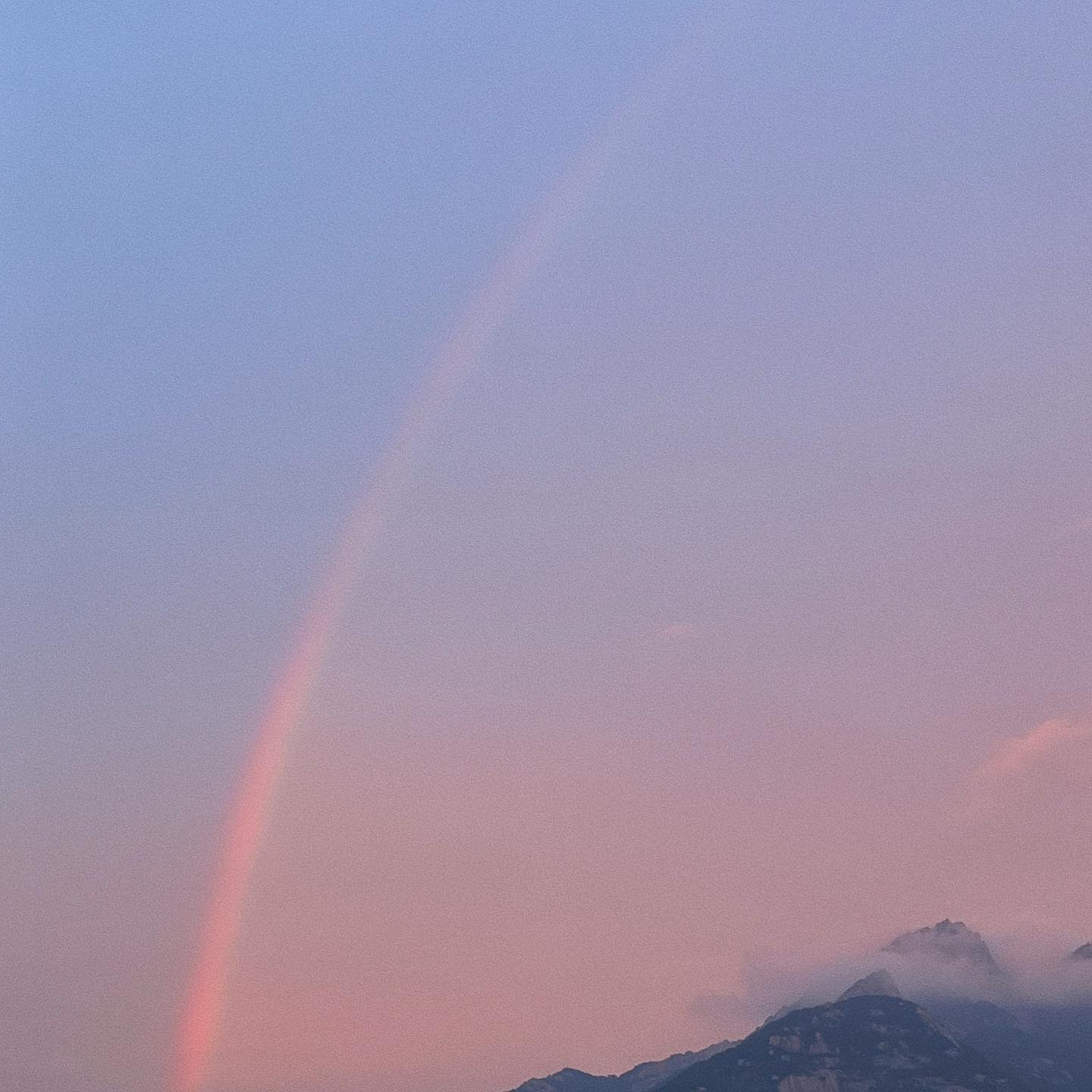 무지개와 함께 돌아왔다🌈