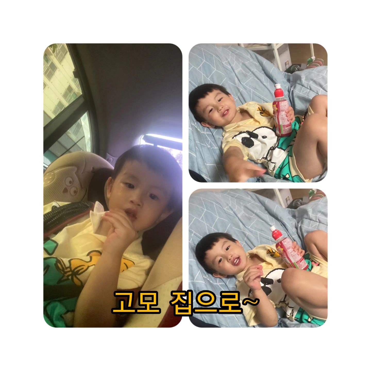 이젠 머 당연한듯 따라나선다 ㅋㅋㅋㅋ
차에서부터 신남
끄꾸야~근데 모모는 요즘 기가 딸리는거 같고
식단 짜느냐구 머리아퍼🤣
나가진 못하니 밥이라도 소풍모드~
가래떡 안줘봤다기에 #떡만두국이 아닌
#수제비만두국 ㅋㅋㅋ#꼬마김밥#유부초밥
#롤식빵 컨디션이 안좋아보여서 안먹을라나?
싶었는데 이번에도 #완밥
어제부터 집에올때 모모집에가서 밥먹을거라고
하는 끄꾸 그래서 신경쓰고 만들게 되는듯
컨디션이 안좋아 보였던건 나만의 착각
또 정신없이 놀다가
탱이한테 "태형아 또 올게(16살 많음)"하고
쿨하게 퇴장하시더니 이번엔 엄빠를 보고
집에 안간다고 그냥 뒤돌아섬 ㅋㅋㅋㅋㅋ
한달을 있어도 엄빠 안찾을거 같음🤣🤣🤣
#조카스타그램 , 고모집은#내세상
#말안들음#개구쟁이#26개월아기
#유아식#잘먹으니이쁘다