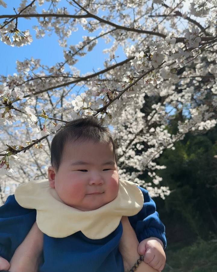 🌸인생 첫 꽃 구경🌸 ㅋ ㅋ