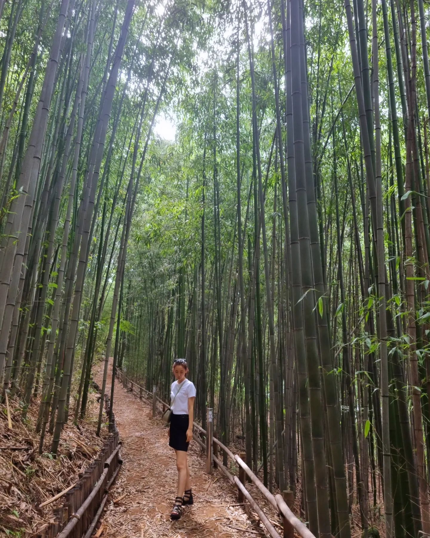 대청계곡 대나무숲
그늘아래서 산책하기 딱 좋아!!
모기수혈하기도 딱 모기약챙기기^^

유아숲체험장
인제 니넨 너무 컸다야~~~ ㅎㅎㅎ

#대청계곡
#대나무숲
#유아숲체험장