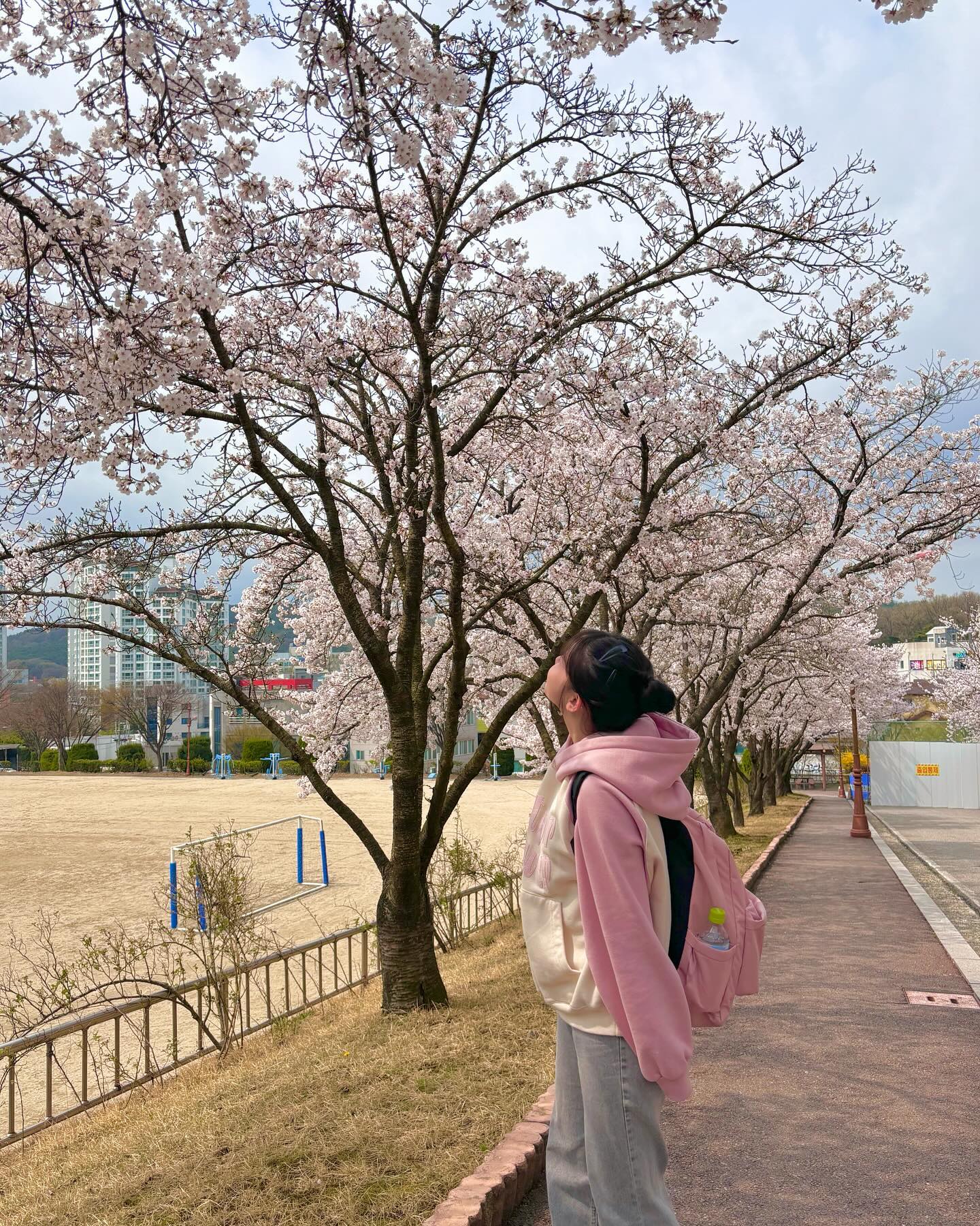 🌸
