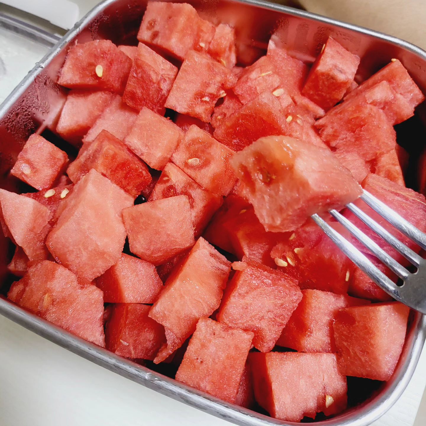 #수박 🍉🍉🍉🍉🍉🍉

겁나 달다잉