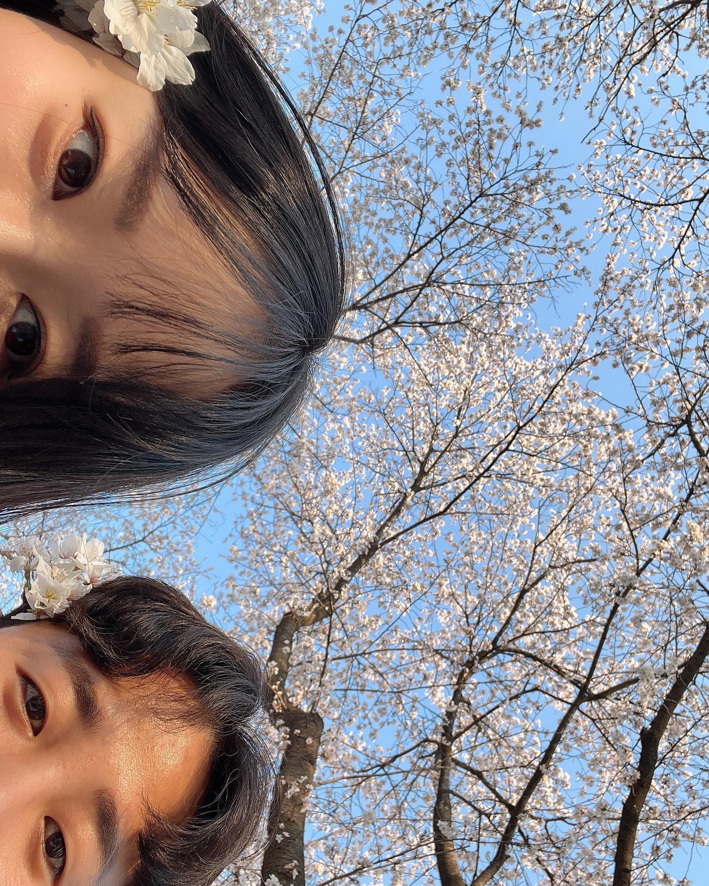 좋은곳 데려와줘서 고맙슴당🌸