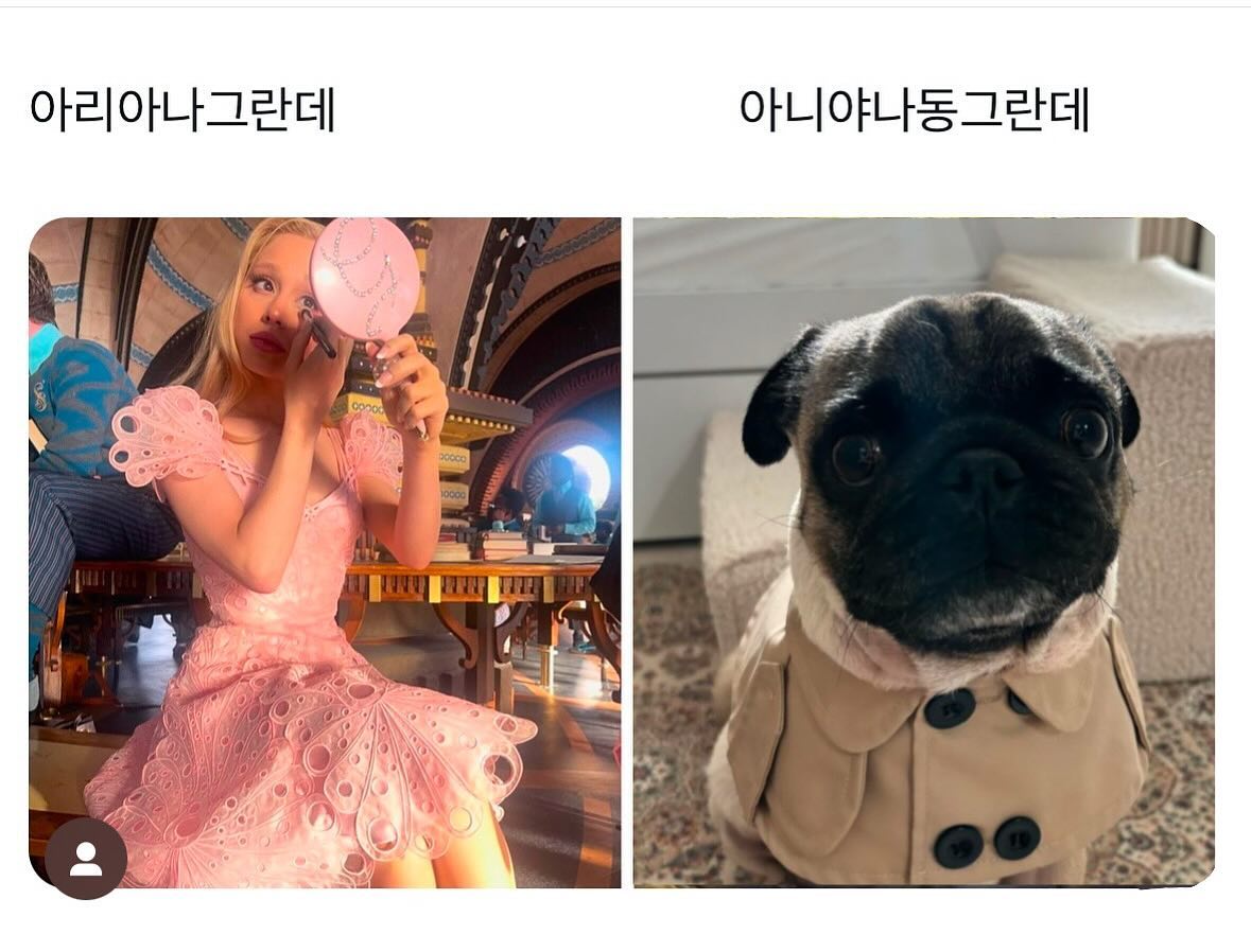 아니야나거믕데🖤