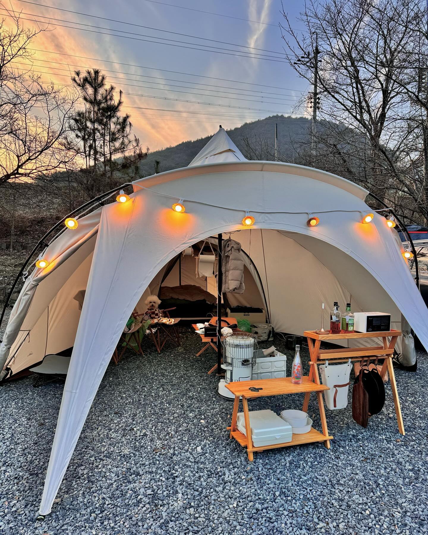 캠핑장에서 보낸 새해🌞🏕️
리우야 올해는 건강하고 표정관리 잘하자!🐶