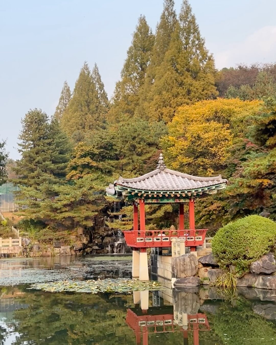 함미랑 (하늘에 계신) 하비랑
함께 한 단풍놀이 🍂
