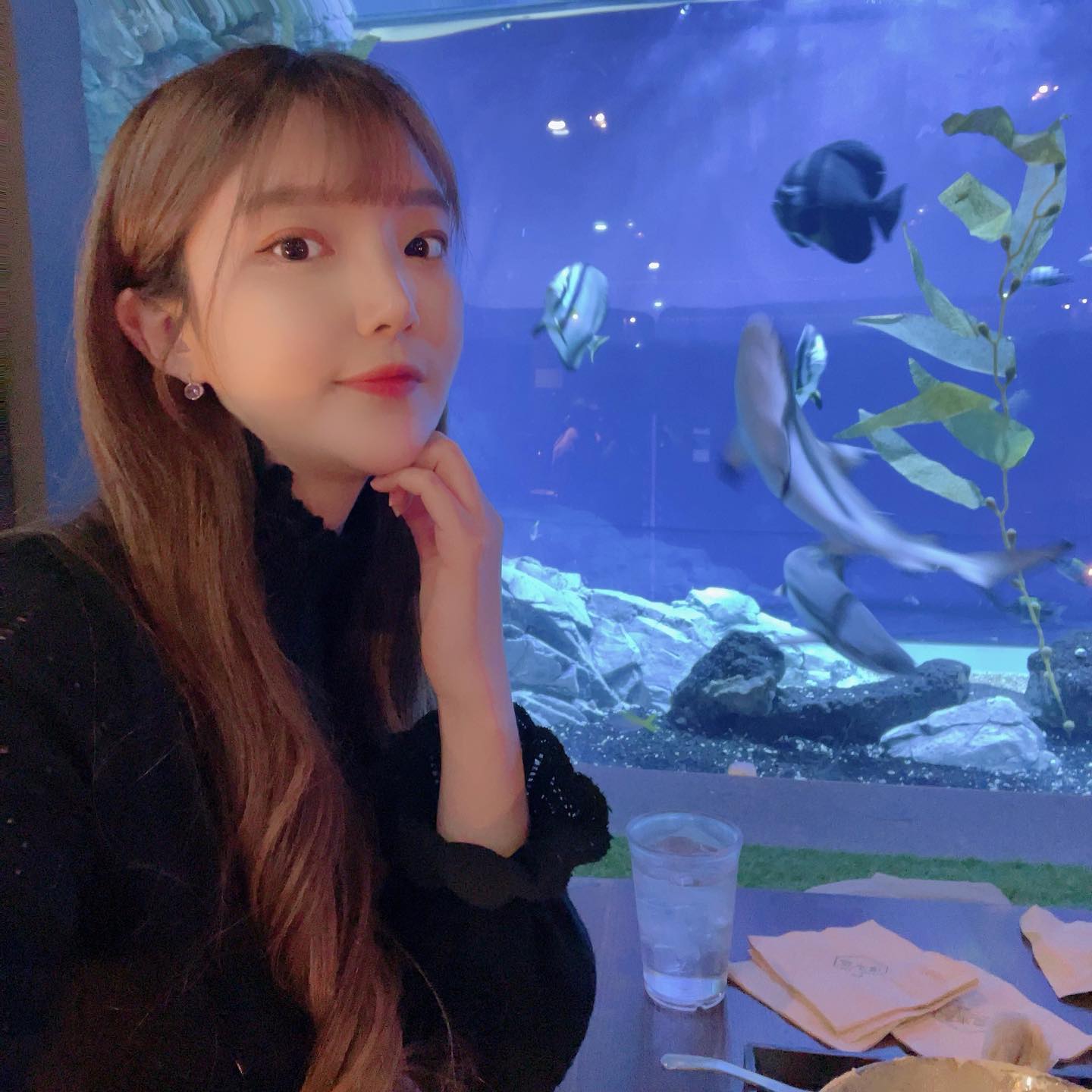 🪸
오동통통 해지는중