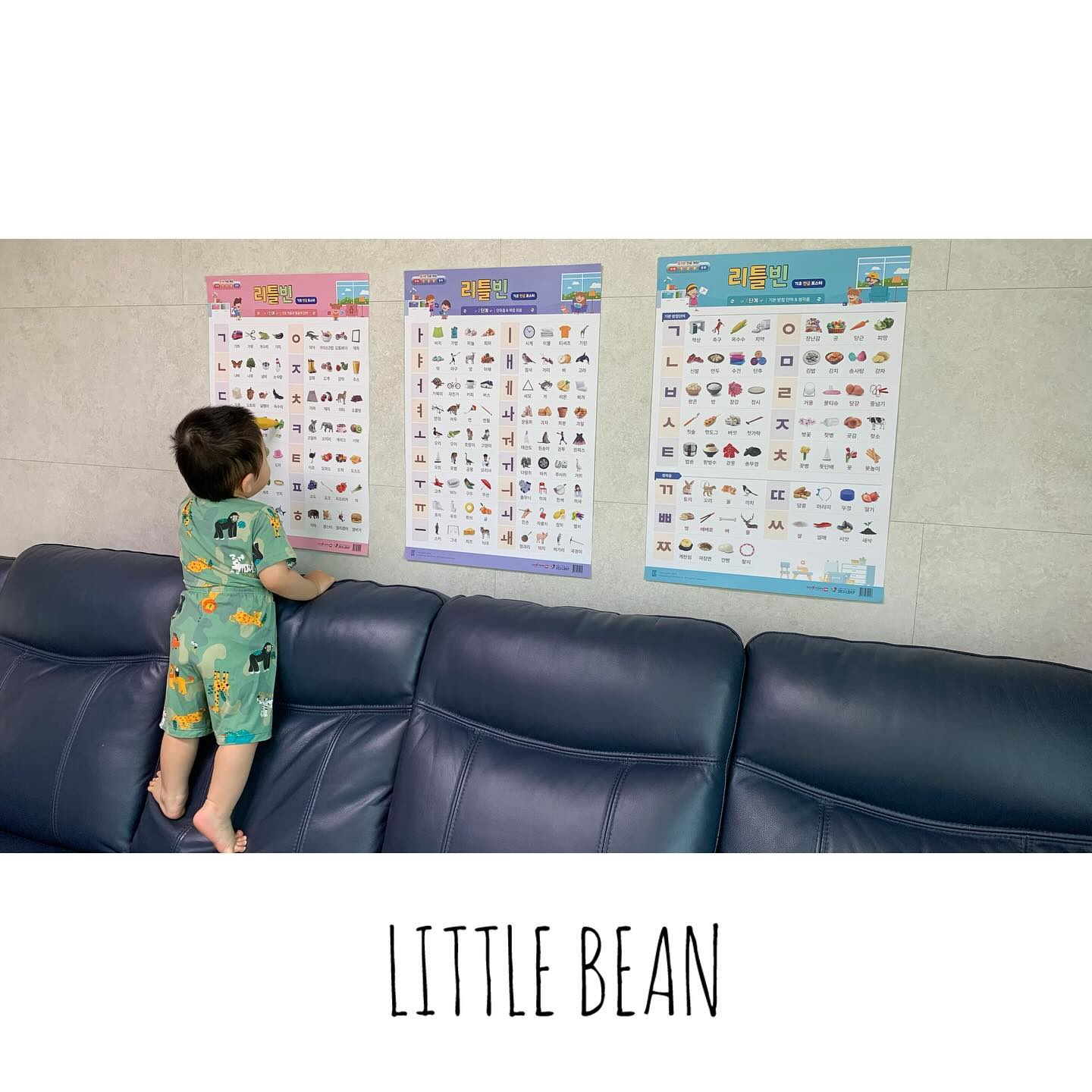 리틀빈 한글포스터ㄱㄴㄷ✍️🤓 #협찬

우리 도하 15개월 진입 기념 
리틀빈 한글포스터 부착

생활에 밀접한 단어와 그림이 있어
호기심 가득한 눈으로 
쇼파에 올라가 포스터를 보면서
세이펜을 달라고 한다
세이펜으로 콕콕 찍으며
단어 놀이 하는 재미가 쏠쏠🖍️

단어 노출을 많이 해주고 싶었는데
스스로 선택해 가며 단어를 들어주니
이렇게 고마울수가😉💕

리틀빈 한글포스터로
재미있게 한글배워보자〰️

https://sbz.kr/l6eiB
littlebeancard
#리틀빈#한글포스터#한글학습벽보#한글교구#5세한글공부#한글공부#유아한글#한글놀이#세이펜한글#한글배우기#한글교육#한글연습#유아한글공부