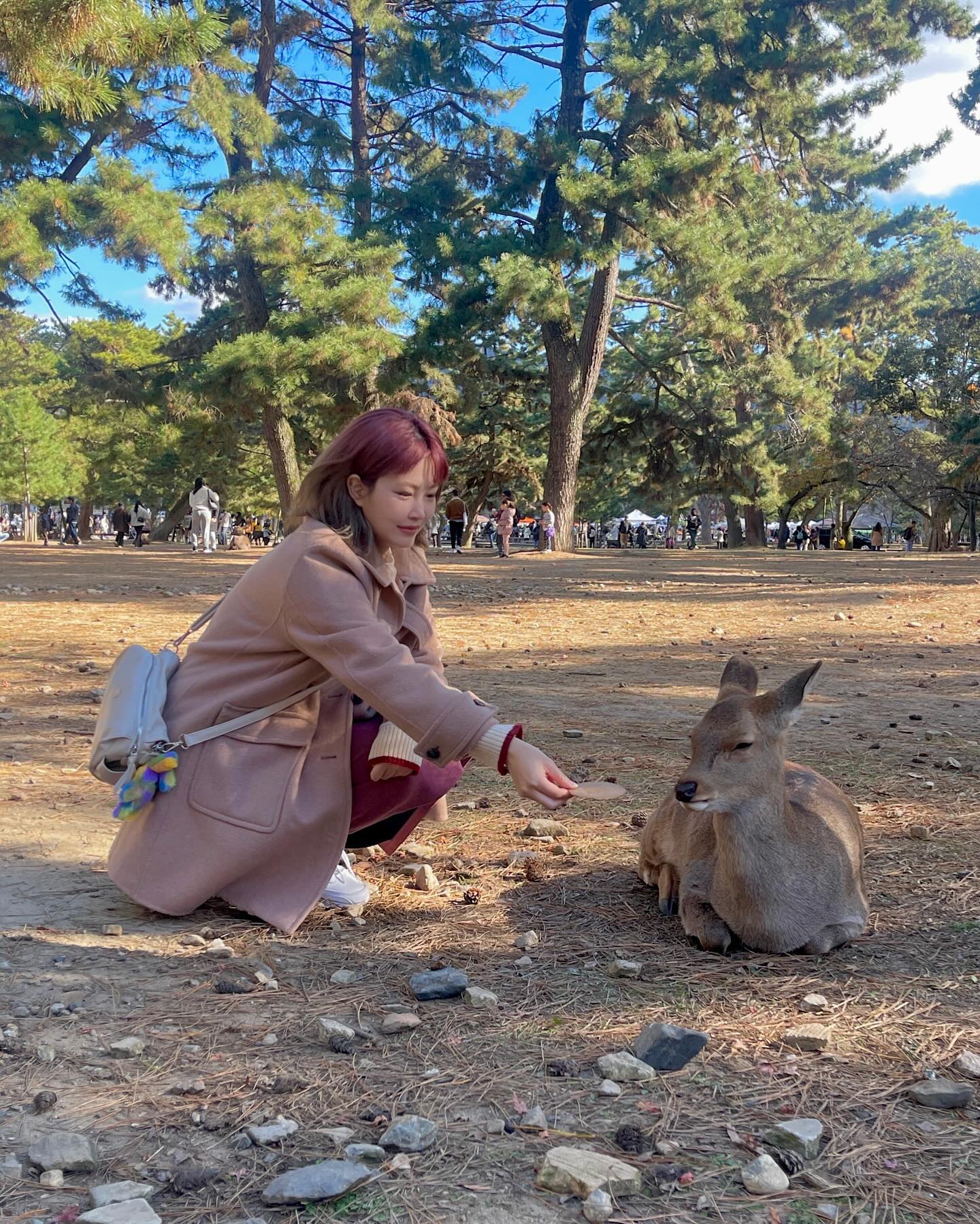 먹을랭? 안먹어?
구럼 내가 (는 뻥)

쫄보라서 서있는 사슴한테는 못감 🦌

여행 계획짜다가 지쳐서 여행 못가게따😇

#오사카 #오사카나라 #오사카나라사슴공원 #나라사슴공원 #osaka #나라여행 #오사카여행