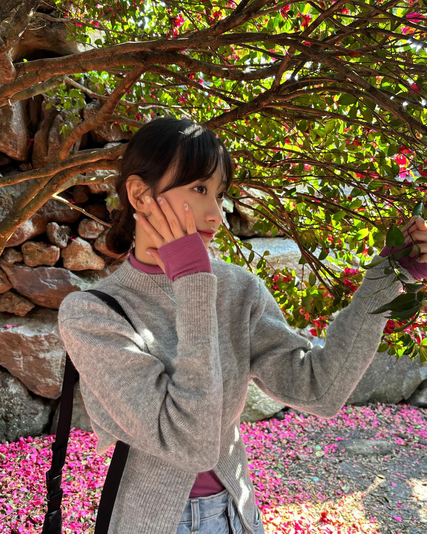 🌺