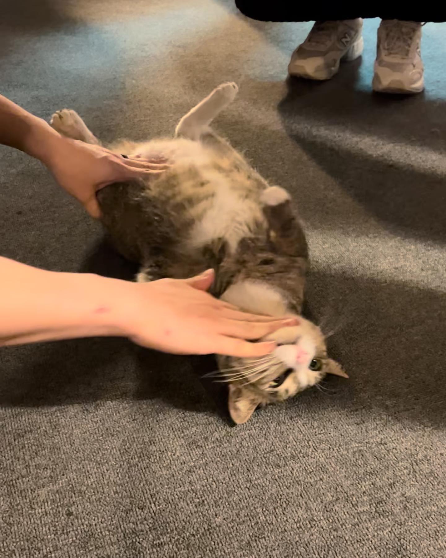 나 찜꽁한거 아니냐고