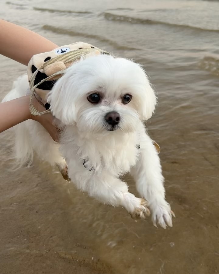 첫 수영 마스터 완 ! 👑