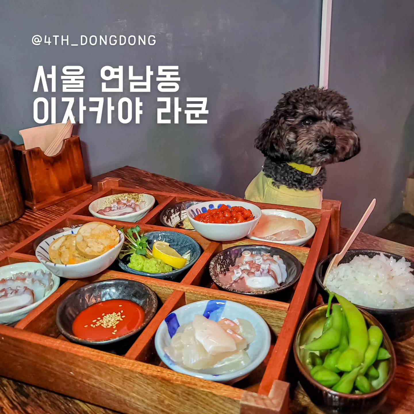 #이자카야라쿤 raccoon_yeonnam
#연남동애견동반 #연남동이자카야 #연남동술집추천 #홍대애견동반

🥄한줄평 : 연남동에서 12시부터 낮술 먹으면 얼마나 행복하게요?!

🔸️점심시간부터 낮술 & 5,800원 라멘 🍶
12시 땡~ 하자마자 달려가서 낮술 시작한 이자카야 라쿤!
낮부터 여는 이자카야라니! (두 팔 벌려 환영 🤗)
그리고 점심시간에는 ONLY 5,800원 나가하마야 라멘을 판매하셔요.
고기와 면의 양, 그리고 아주 진한 국물까지 😍 

🔸️최강의 DP, 문어반 광어반
저 예쁘게 디피되어 있는 문어반 광어반 좀 보세요 🤤
(정갈하게 놓여져 있어 식욕을 더 자극하네요.. 🤫)
아귀간, 문어, 광어 무엇하나 빠지지 않고 모두 다 신선해서 맛있고요.
같이 주신 유자촛밥에 김과 싸먹어도 너무나 맛있다구요~ 😉
(참고 : 엄마가 다른 곳 보고 있을 때 유자촛밥 먹은 동동이놈..)

🔸️일본 감성 그대로
일본에 와 있는 느낌의 이자카야 라쿤!
노래도 귀에 익은 J-POP이 들려 왔고, 티비도 일본 드라마가 나와
마치 일본 같았답니다! 

28,000원에 90분 무제한으로 다양한 주류(사케, 맥주, 하이볼)를
무제한으로 마실 수 있는데 🤗
제 간이 아직.. 완전히 회복되지 않은지라 간단히 맥주만 🍻
다음엔 28,000원으로 아주 간을 적셔주겠어 🙄

🍽이자카야 라쿤 
📍서울시 마포구 성미산29안길 29
⏰️월 18:00~24:00, 화~토 12:00~24:00, 일 12:00~22:00
📝반려견 동반 가능, 화장실 실내

#연남동술집 #연남동데이트맛집 #연남동데이트 #홍대이자카야 #홍대애견동반술집 #연남동애견동반식당 #연남동맛집추천 #연남동점심 #주류무제한 #연남동일본라멘 #홍대일본라멘