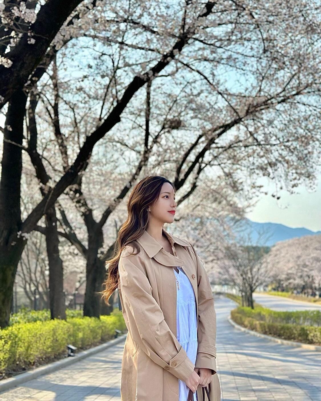 머리를 자를지 계속 기를지 고민되는 요즘🤔 
.
#서울대공원 #벚꽃 #미스코리아
#미용실 #추천해주세요