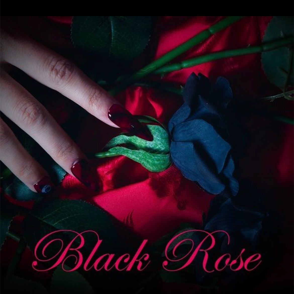 Black Rose (feat.양정맨) - A-BIN

A-BIN 첫 싱글 곡 작사에 참여했습니다 🥀✨
데뷔축하해 💗💗