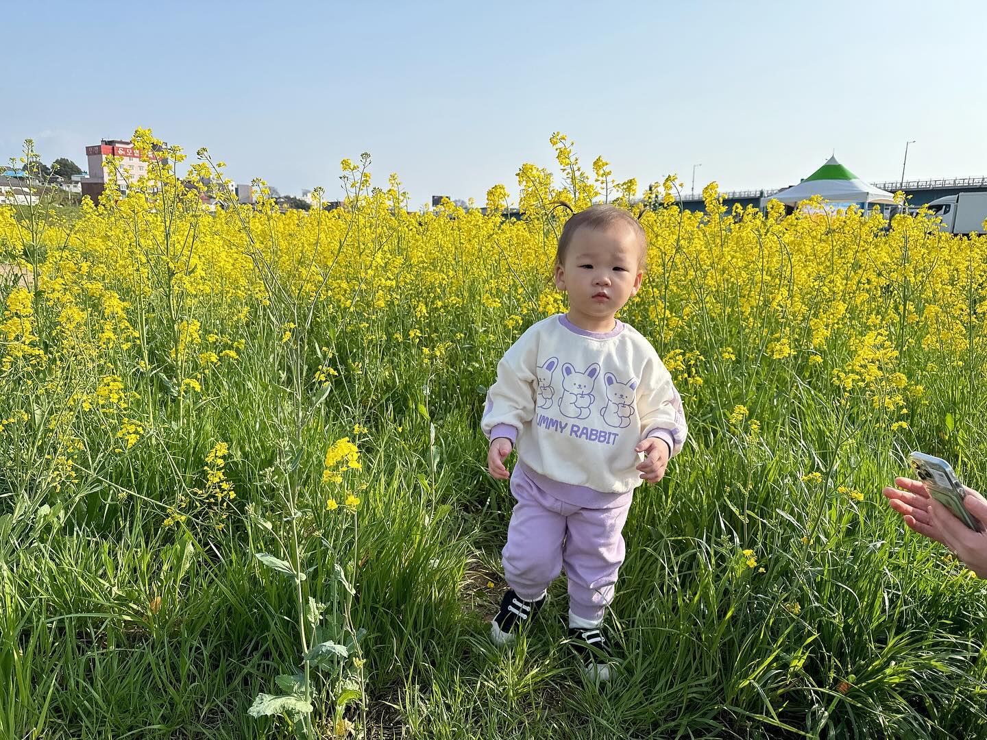 👶🏻+560일🫶

하원후 할미랑 고모랑 데이트🤍
지역축제 하길래 지나가다 들렸는데 할미가 서윤이 풍선도 사주시고
맛난것도 사주시고 최고👍
마무리는 역시 곱창에 술🤣
서윤이도 맛난거 많이 먹고 엄마도 많이 먹은 하루~
남편 없이도 시댁식구들이랑 잘 노는 며느리 ㅋㅋㅋㅋ🤍

마지막 사진은 1년전 같은곳에서 찍은사진들🤍
많이 컸다ㅠㅠ

#윤서유니#시댁식구들과💕#나주축제#유체꽃축제🌼#마무리는곱창❤