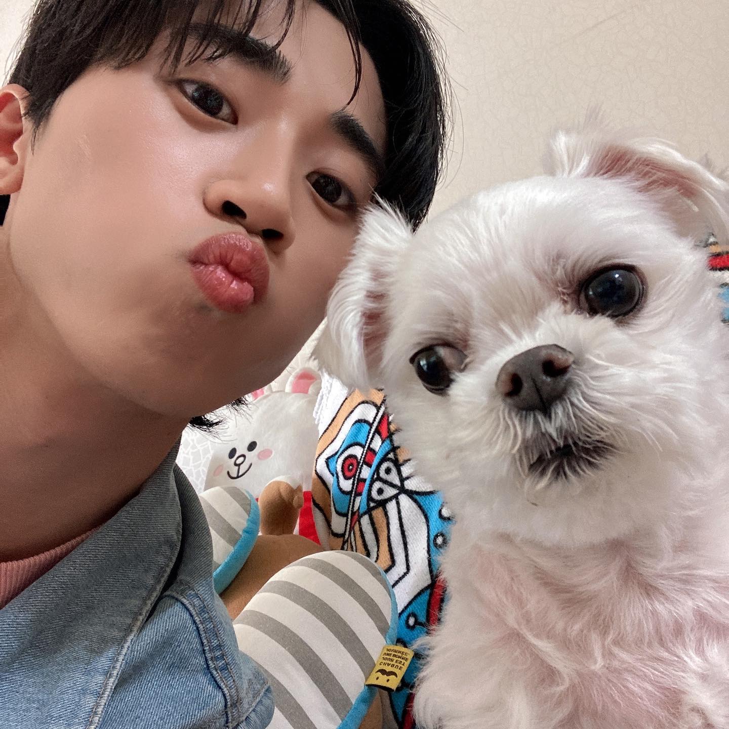 두부랑 셀카놀이~🐶📸
달라진 점을 찾아 보시옹~~✨🤭

#말티즈 #멍스타그램 #멍팔맞팔 #화순 #화순카페 #화순맛집 #화순여행 #셀카 #셀피 #화순벨리곰 #화순고인돌 #남자머리 #남자머리스타일 #오늘의훈남훈녀