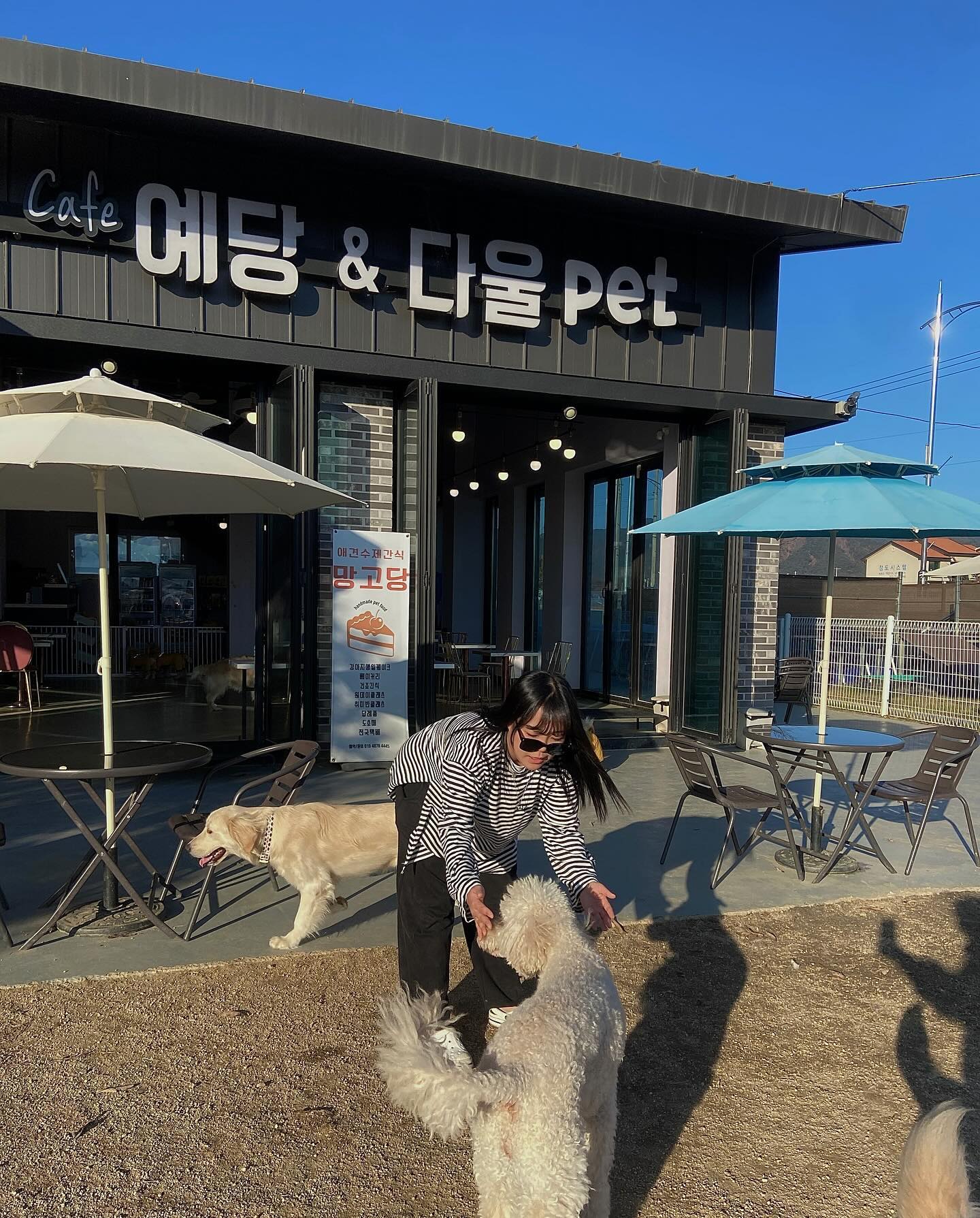 고앵이 엄마 애카 오다 🤫