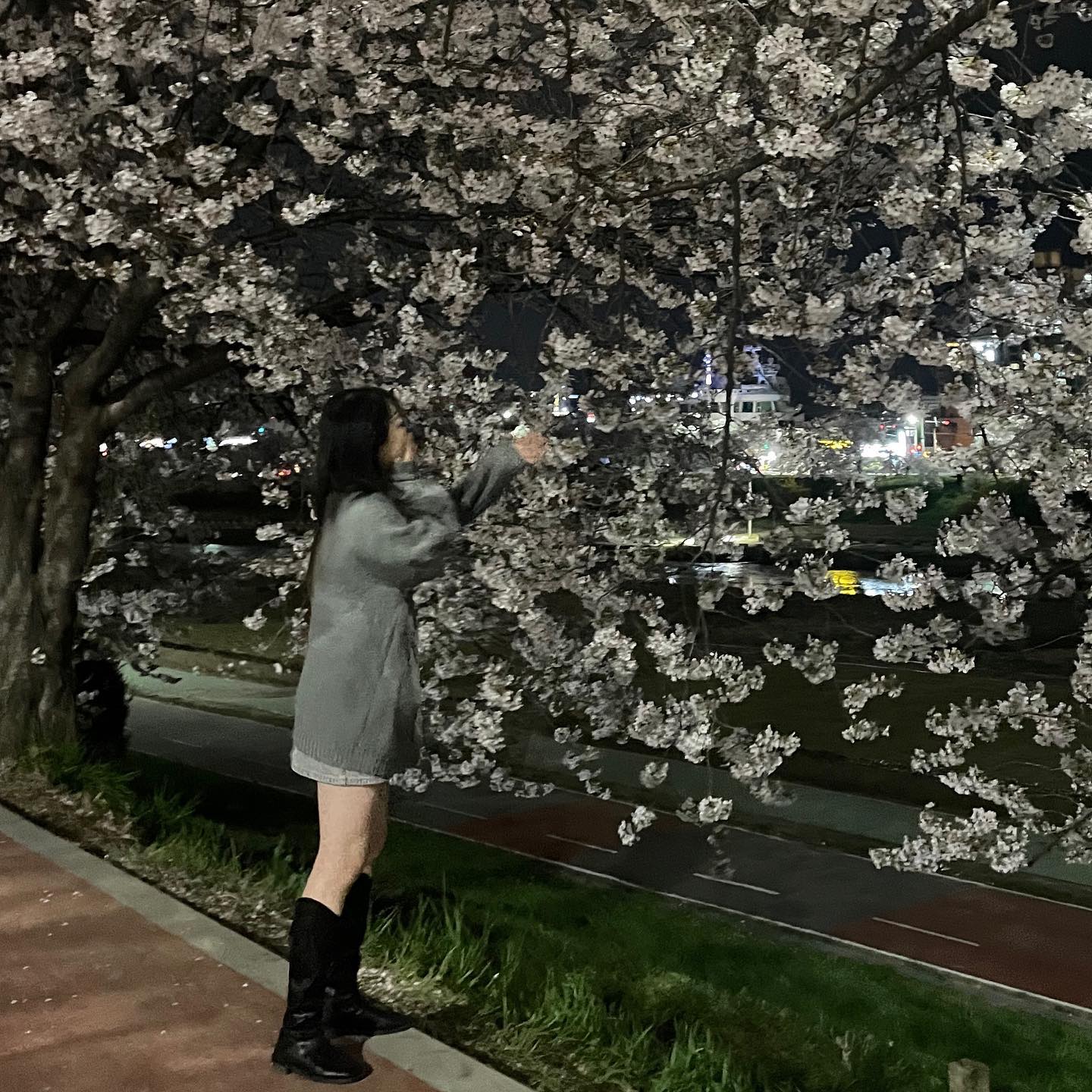 올해 벚꽃구경 왕창하기 🌸🩷