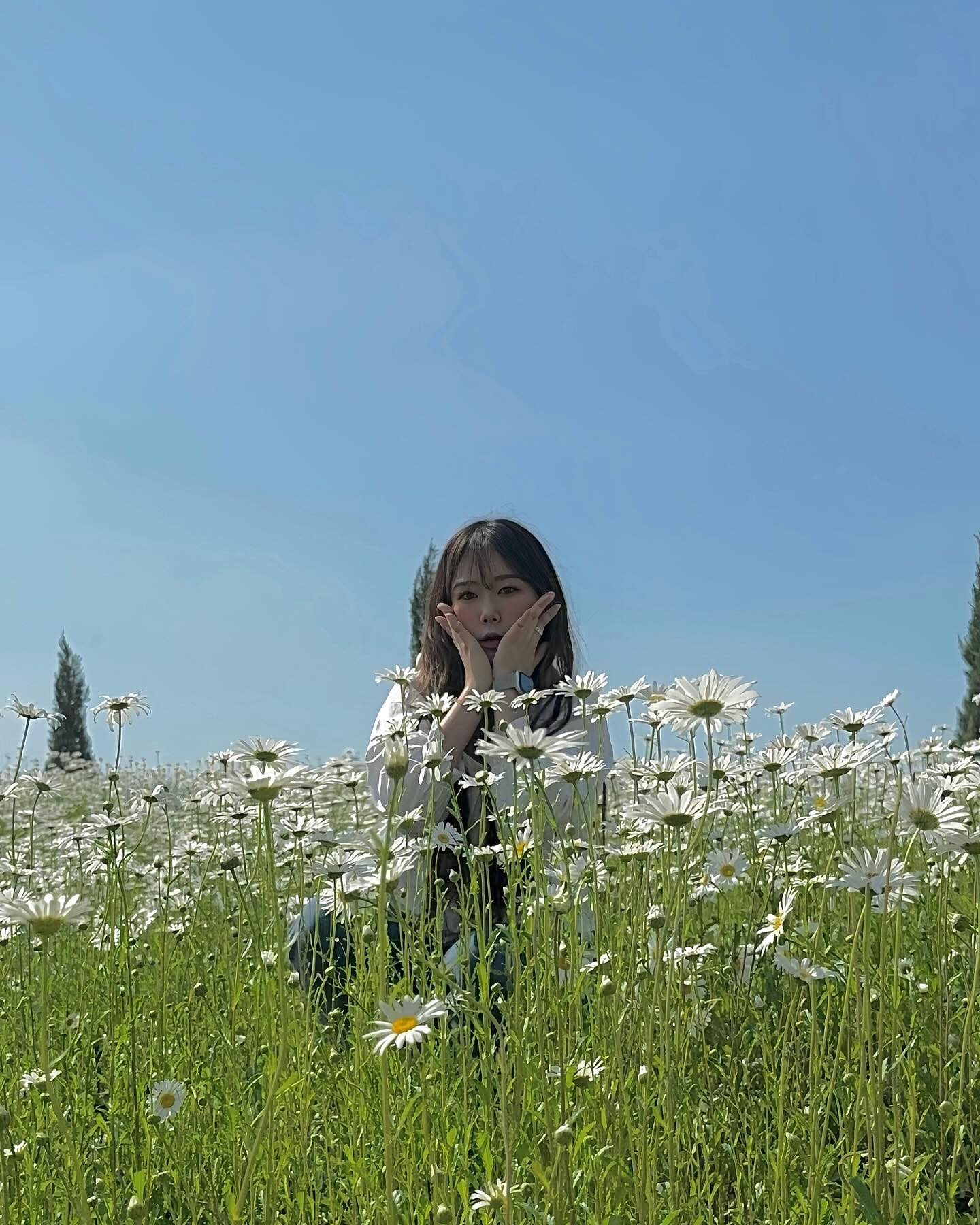 세 장의 사진 중에 최애 사진을 고르시오.