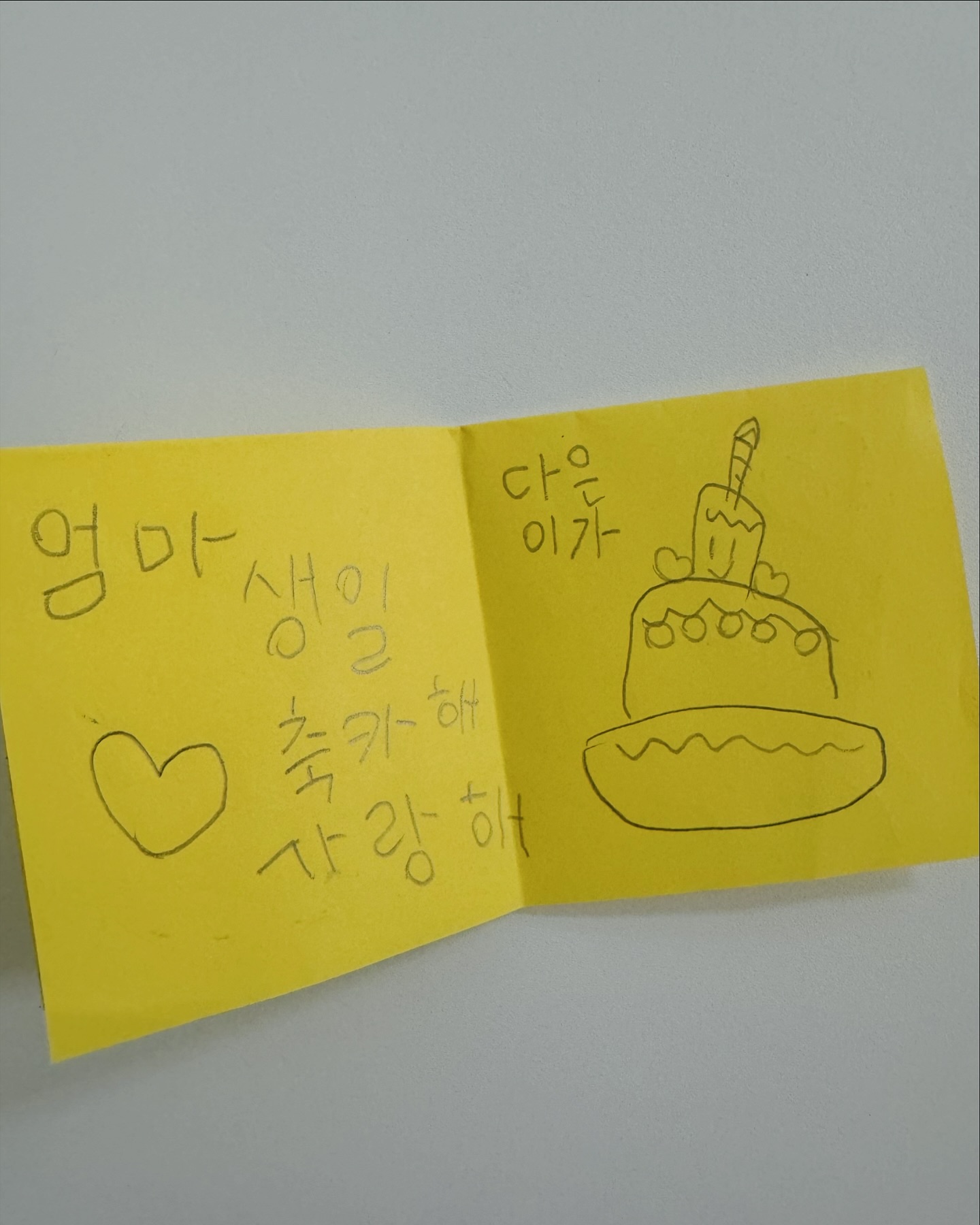 🎂🥳🥳
올해는 중복이랑 겹쳐서 그런지
손꼽히는 정도로 더웠던 생일

“엄마 생일이여서 나 파스타 먹고싶어”
“엄마 생일이니깐 치킨시켜서 파티하자”
“더우니깐 케익은 아이스크림 케익먹자”

이럴거면 니 생일하지 왜 내 핑계🙂‍↔️🙂‍↔️

그래도
올해도 
참 많은 축하와 안부와 선물을 받아서
마음까지 뜨거운 생일🔥🔥

#요즘치과치료받느라
#생일주못한게한