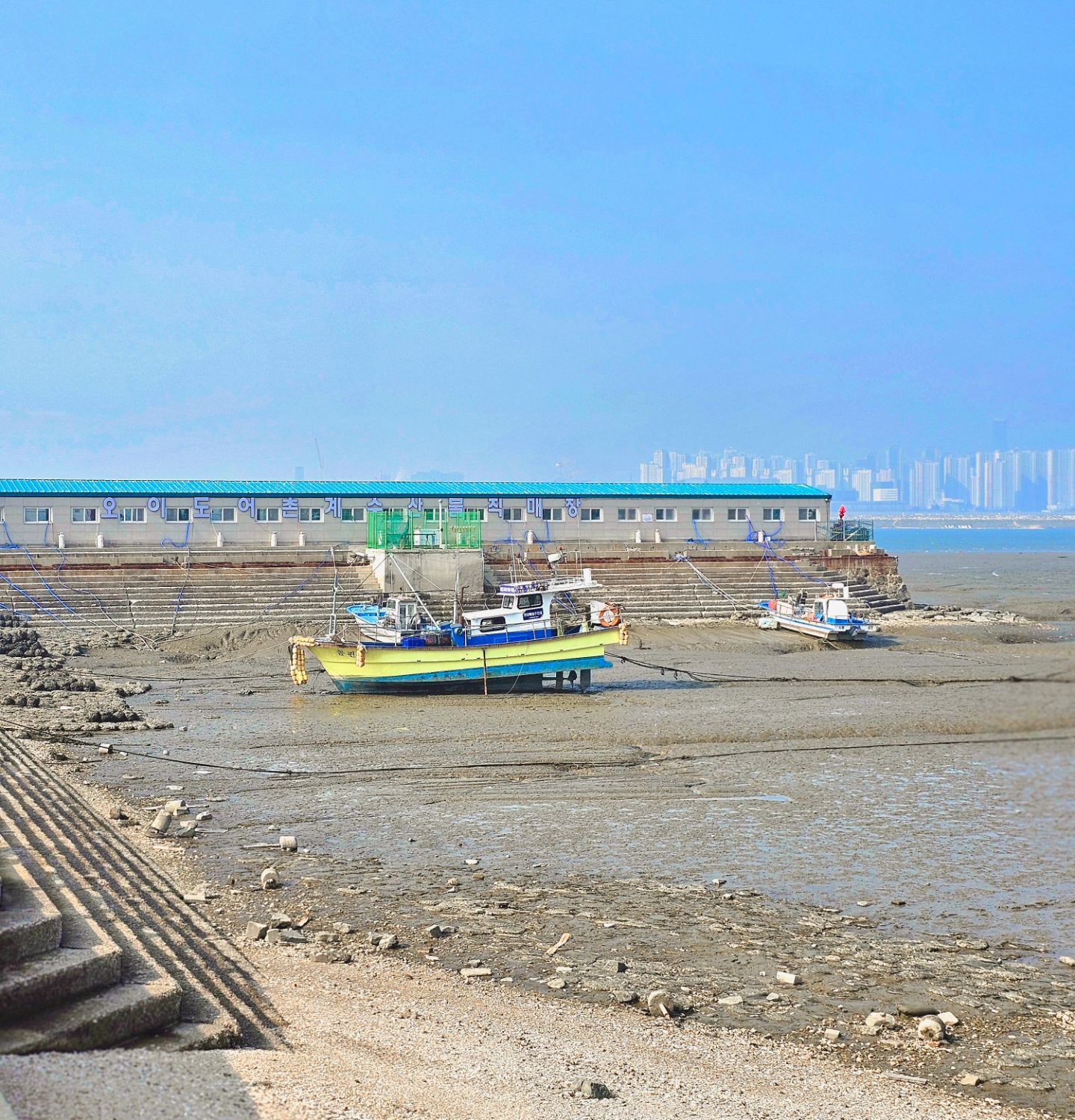 시댁식구들이랑 #오이도 (งᐛ)ว (งᐖ )ว
자연산 도다리회 간재미회 산낙지 개불 굴
바지락칼국수 매운탕 신나게 먹었당 흐흐흐❤

#오이도맛집 #오이도빨간등대 #오이도회집 #설날 #설날연휴