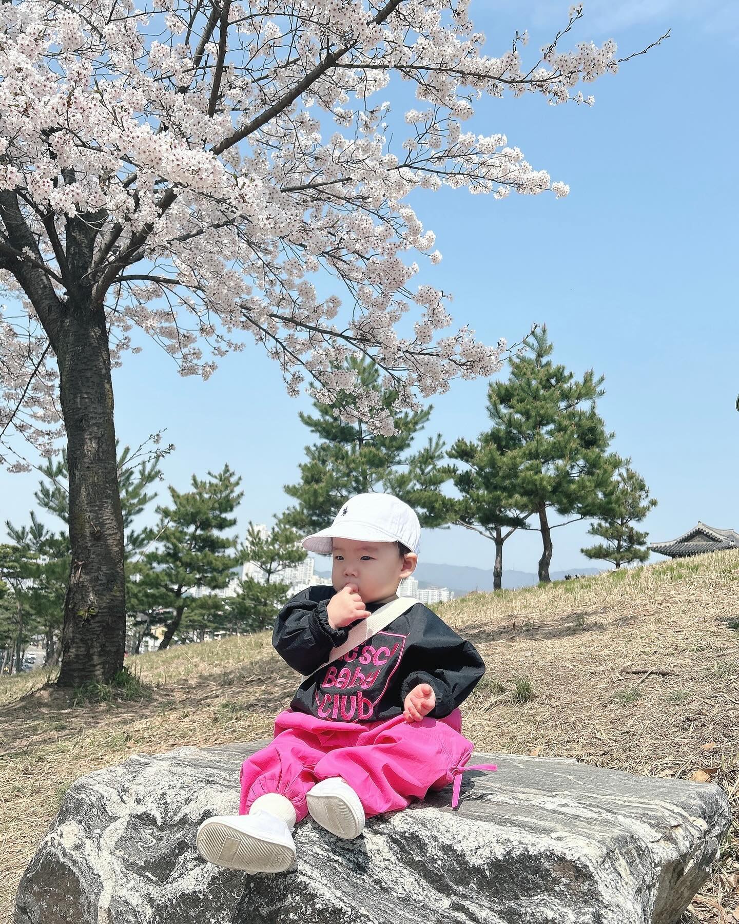 벚꽃보러 다녀온날

#이구역콘테스트 #나들이패션왕