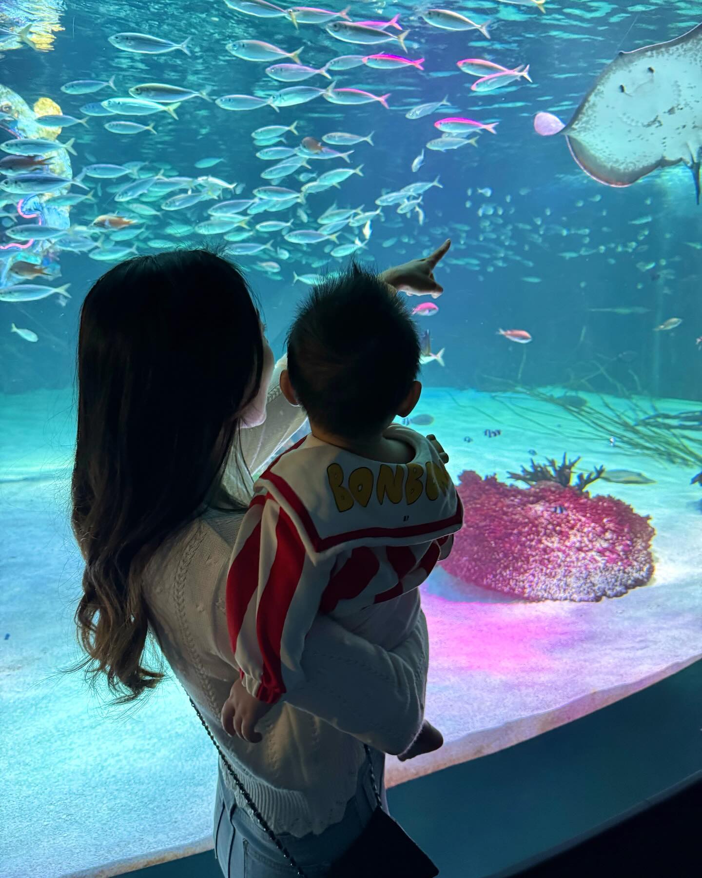 ⠀
태오 8개월 끝자락에 다녀온 아쿠아리움 🐠🐬
(현재 10개월..ㅎㅎㅎ)
⠀
한시도 눈을안떼고 이리저리 구경하고
신나서 발 동동동 하는거보니 왜 이제야 델꼬왔나 싶었어요 🥹
⠀
돌전 아가랑 방문하는거라면 아기띠 필수❗️
편하게 유모차 끌고가려다가 눈높이가 안맞아서
구경하는 내내 안고다녔네요 ㅠㅠ
(태오가 새로운걸 보고 얌전한 스타일이 아니어서 그럴수도^^..)
⠀
마지막 인어공연은 태오도 잘봤지만 엄빠가
제일 재밌게 보고온거같아요🩵🩵 ㅋㅋㅋ
⠀
⠀
⠀
📍AQUA PLANET 63
⠀
⠀
🍯 TIP
✔️운영시간/ 10:00 - 19:30 , 입장마감 19:00
✔️입장권 구매는 현장구매보다 인터넷이 훨씬 저렴해요
가끔 핫딜도 올라오니까 미리 구매해두는것도 방법-!
✔️ 36개월 아기는 무료입장이라 태오는 무료로 입장했어요 👶🏻
✔️아쿠아플라넷의 메인은 마지막의 인어공연❗️🧜🏻‍♀️🌟
공연은 매시 30분에 시작되는데 공연전부터 사람이 많이 모이니까
가까이서 구경하고 싶으시다면 광장에 미리 자리잡는걸 추천드려요!
✔️시간을 잘 맞춰 간다면 수달,펭귄,물범,가오리의 생태설명회를 더 생생하게 즐길수 있어요
✔️입구 바로 옆에 수유실이 있어서 정말 편했어요🍼
편안한 관람을 위해 밥먼저 먹이고가기 ㅎㅎ
✔️입구쪽에서 미아방지캠페인이 진행중이라 각인팔찌를 무료로 받을수있는 이벤트가 진행중인데요 (23.10 기준)
다만 약간의 후원권유와 설명이 있으니 구경이 먼저라면 패스 😅
⠀
⠀
⠀
#준나패밀리 #태오👶🏻_272일