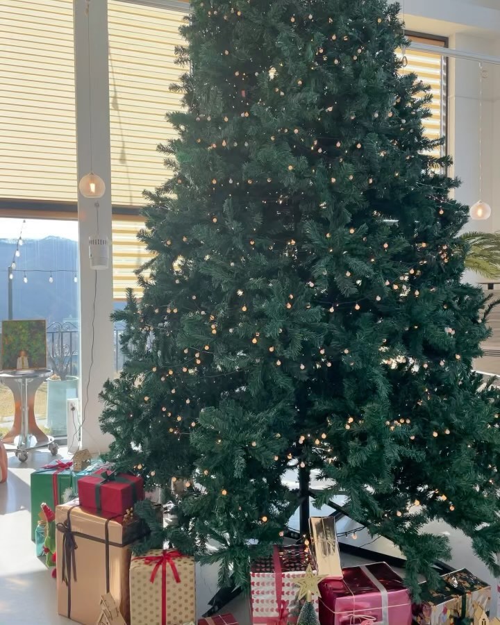 콧바람 쐬러 원주 카페 🎄✨ A.zel
예쁜 트리도 있고, 조용하고 한적해서 마음에 들었던 곳이에요 🫶 

1,2층으로 되어있고, 1층은 #예스키즈존카페 라서 
저의 베프, 친조카와 함께 또 가보려구요 :)