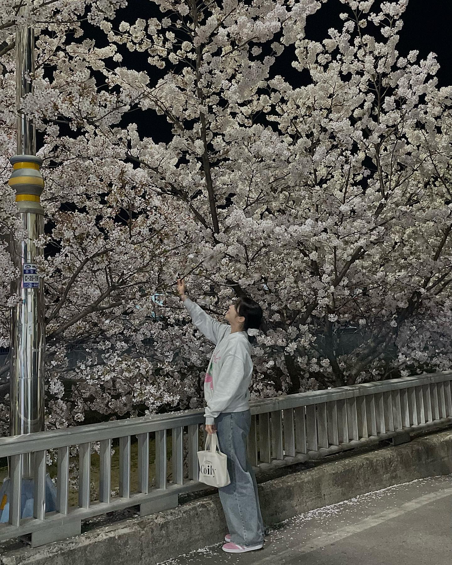 ⠀
보고싶었어요!!!!!!!!🤍
진짜루!!!!!!!!!!😭🫶🏻