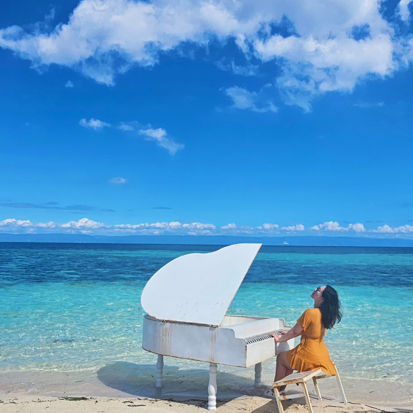 신X신 나는 보홀 🌴
.
.
우리팀 에이스랑 다녀온 망고국 원정수영 🌊
3박4일동안 등짝이 다 타버렸지만 괜찮아....
거북이, 고래상어, 정어리떼와 알록달록 물고기들
수영 배운게 제일 보람있던 순간 ✨️
프리다이빙은 아직 부족... 다음에 다시 배워봐야지
.
.
with. gux_xk 
.
.
.
#보홀 #보홀여행 #보홀3박4일 #수친놈들 #원정수영🏊‍♀️ #보홀바다거북이 #발리카삭거북이🐢 #보홀고래상어 #릴라고래상어🐋 #보홀정어리떼 #나팔링포인트 #타르시어원숭이 #맨메이드포레스트🌳